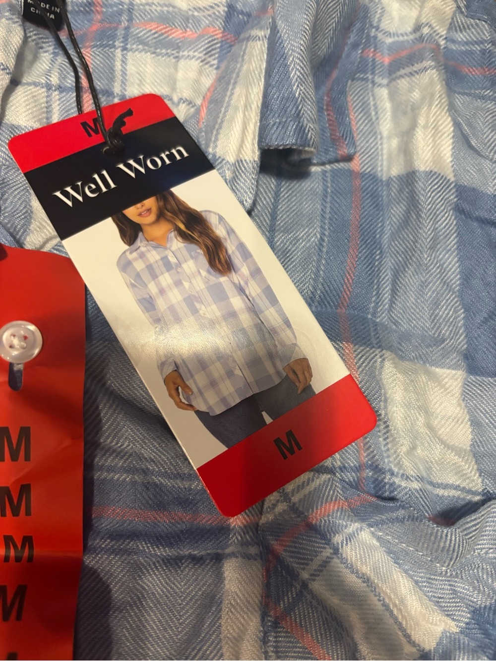 Well Worn Plaid Button-Up Shirt in Light Blue and White